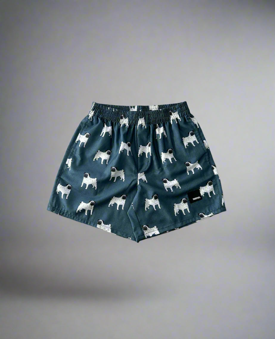 DOG - BOXER