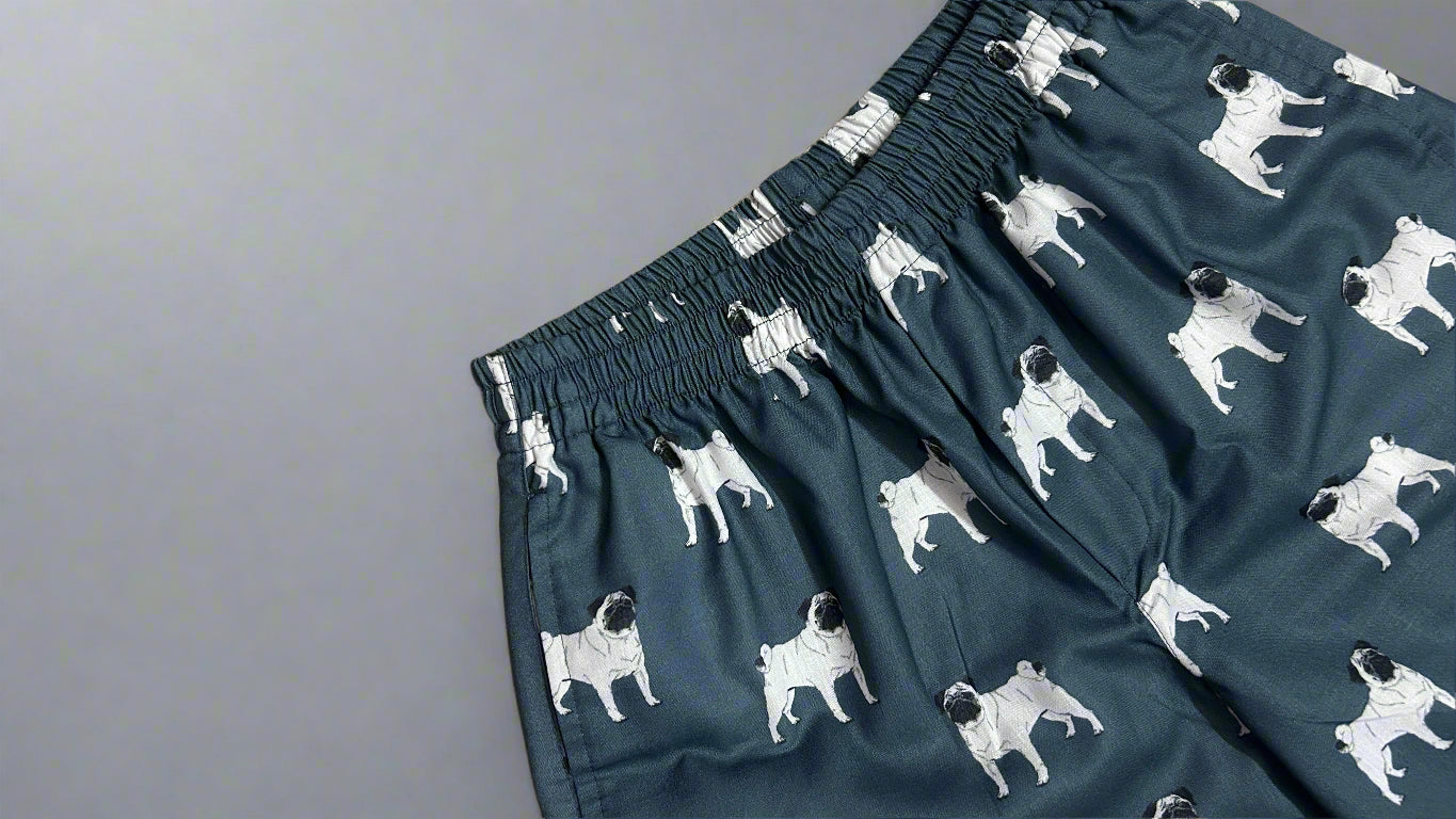 DOG - BOXER