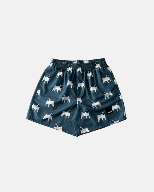 DOG - BOXER